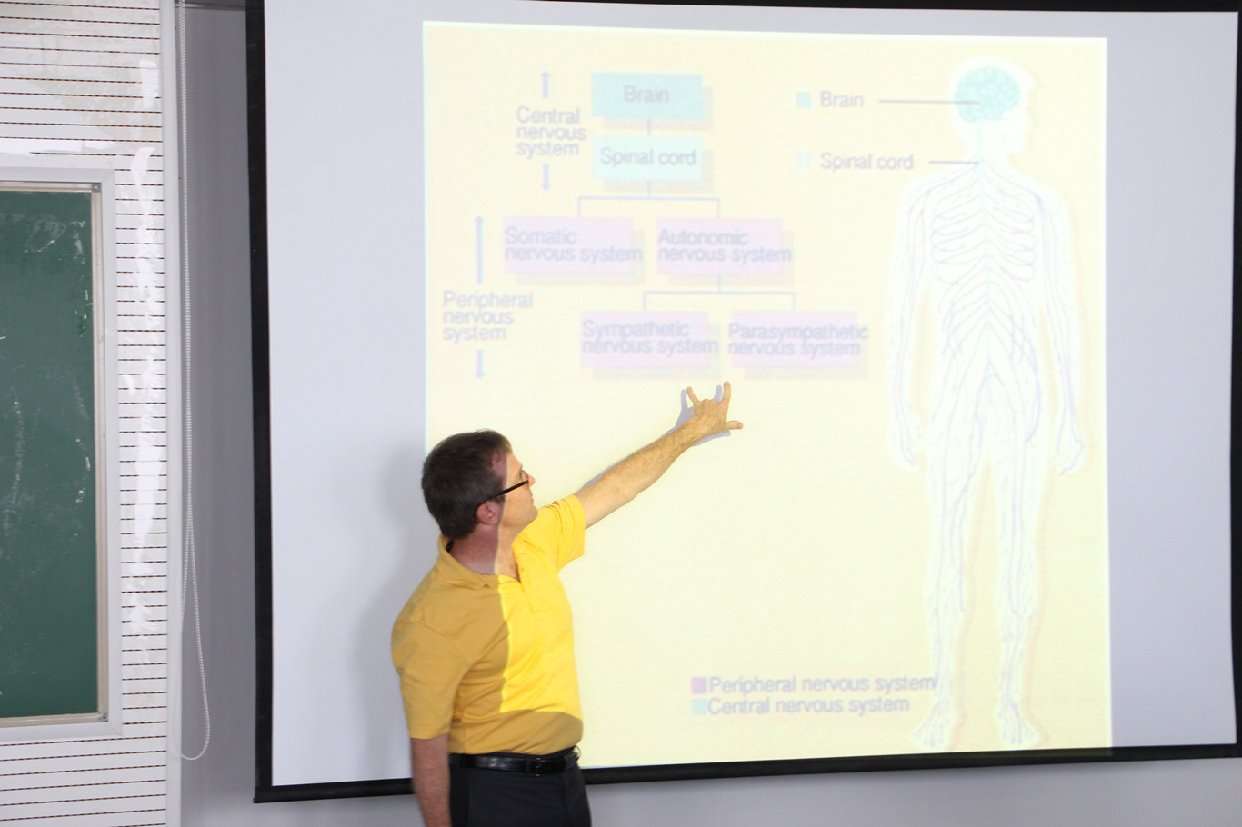 问鼎娱乐