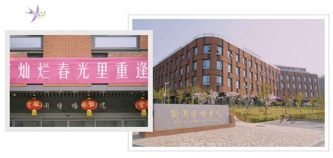 问鼎娱乐
