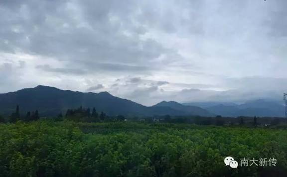 问鼎娱乐